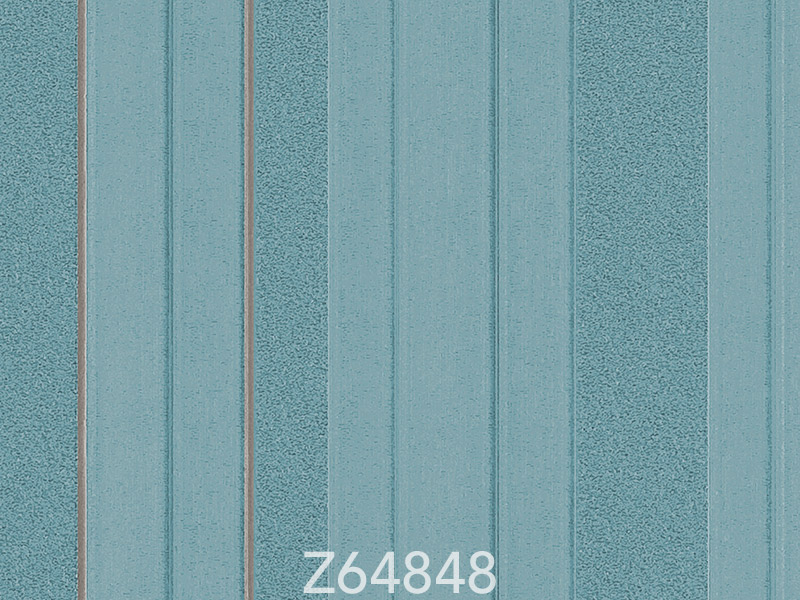 Z64848